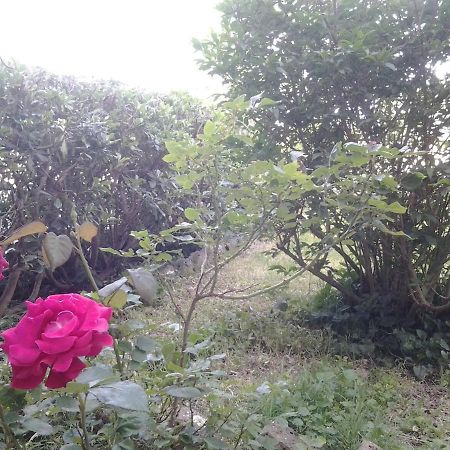 فندق Trianaفي  Casa Bindi المظهر الخارجي الصورة